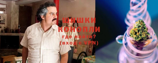 спайс Алзамай