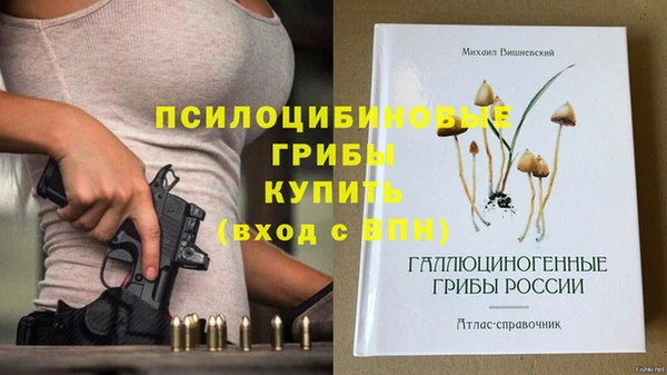 синтетический гашиш Алексеевка