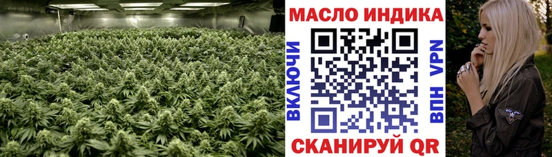 MEGA ONION  Губкин  ТГК концентрат  продажа наркотиков 